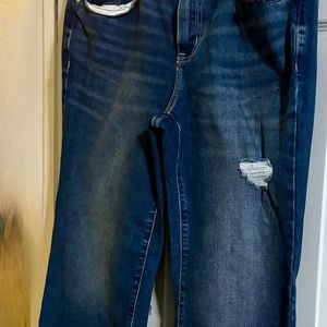 Lane Bryant Bootcut Jeans